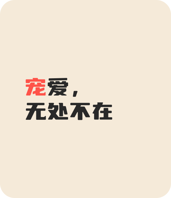 xkty星空宠物，无处不在